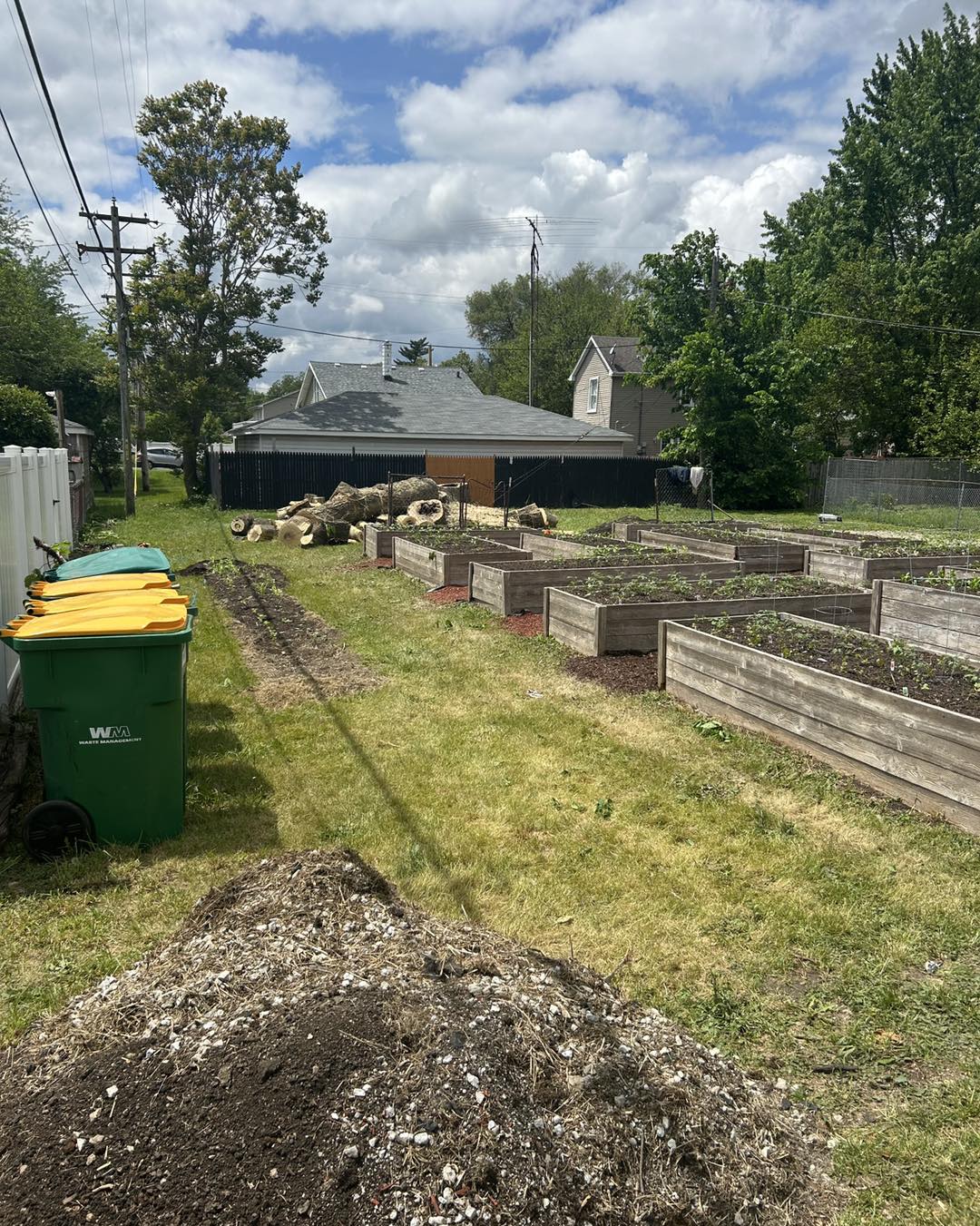 Tree Removed at Forest Park Community Center Community Garden